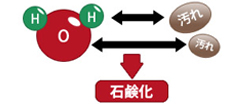 石鹸化 石鹸化